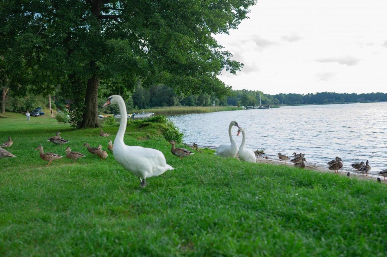 Apartament Augustow Swan Buitenkant foto